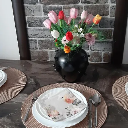 Anzujska Carolija Lägenhet Zlatibor