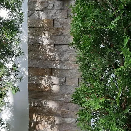 Anzujska Carolija Lägenhet