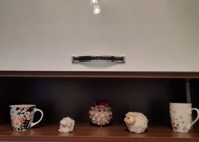 Anzujska Carolija 즐라티보