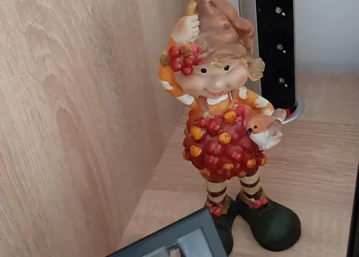 Anzujska Carolija 아파트 *