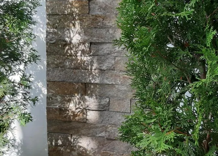 Anzujska Carolija 아파트